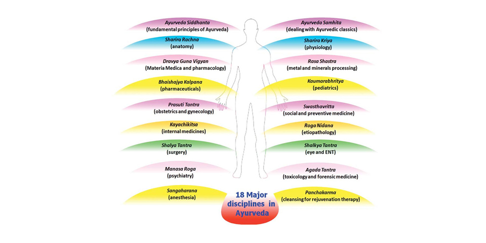 major disciplines in ayurveda