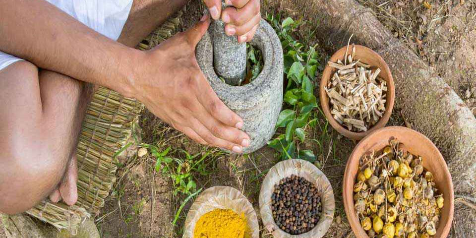 Ayurveda ingredients ingredients