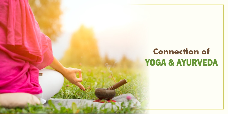 Benefits of Asanas and Pranayama