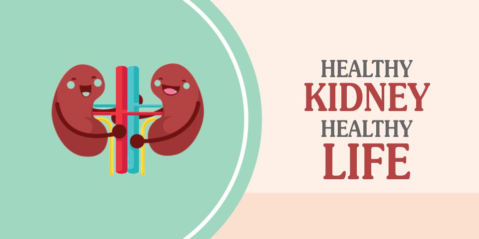 Kidney Importance