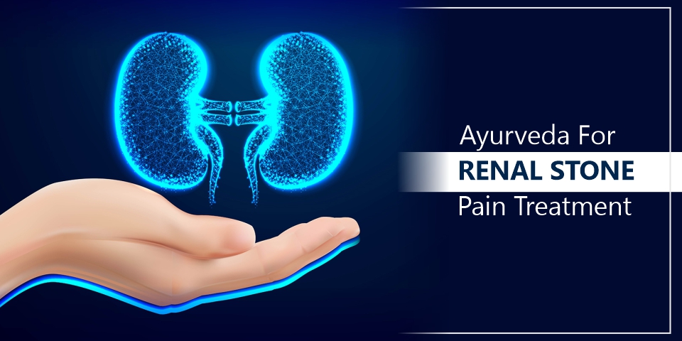 Ayurvedic Treatment For Renal Stone