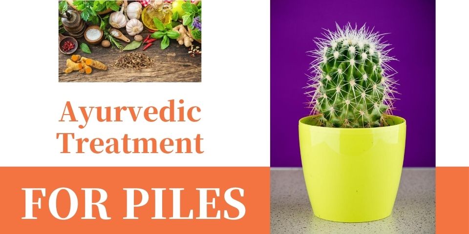 ayurvedic treatment for piles