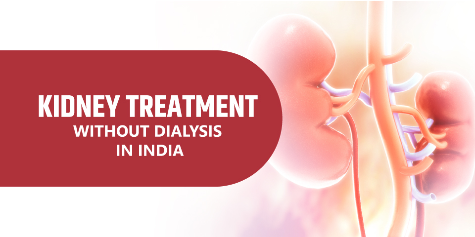 Kidney Treatment Without Dialysis