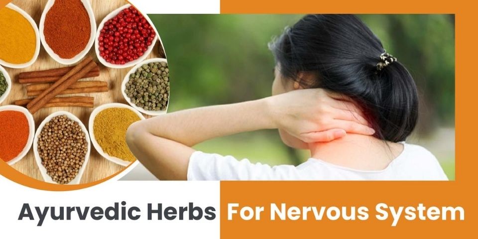 Ayurvedic Herbs For Nervous System