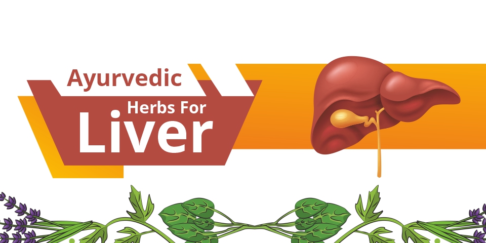 Ayurvedic Herbs For Liver