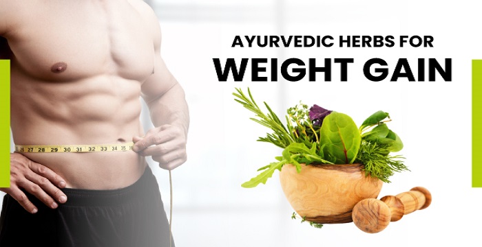 Ayurvedic Herbs for Weight Gain