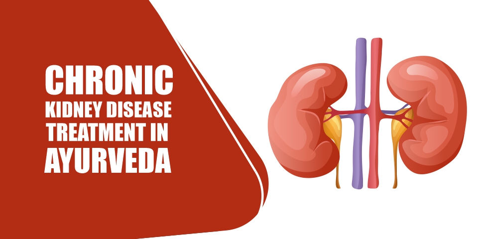 Chronic Kidney Disease Treatment in Ayurveda
