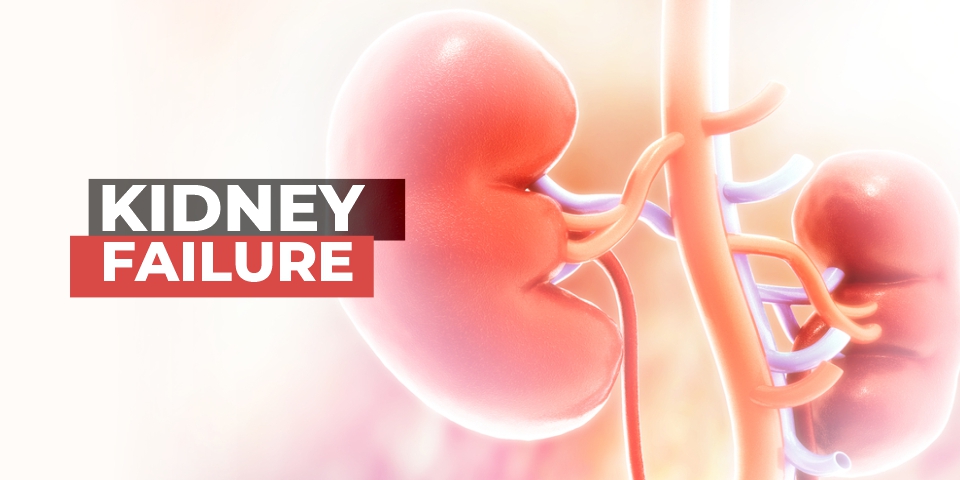 Kidney failure Case Study