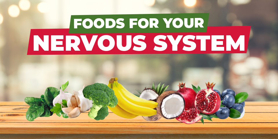 Foods for your Nervous System