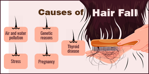 home treatment for hair fall