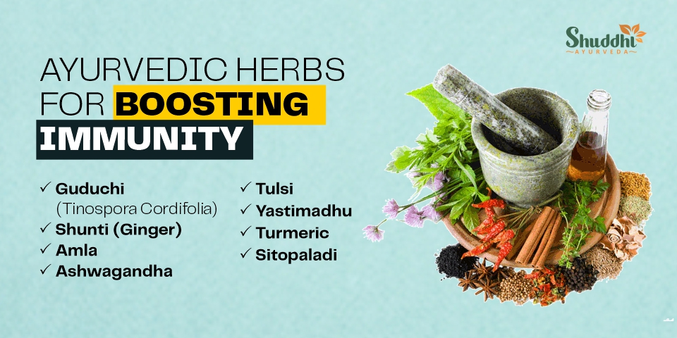 Ayurvedic Herbs for Boosting Immunity