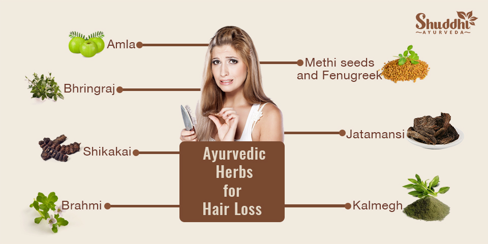 Ayurvedic Herbs for Hair Loss