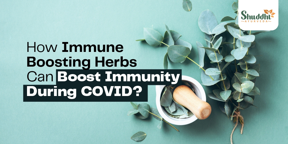 How Immune Boosting Herbs Can Boost Immunity During Covid