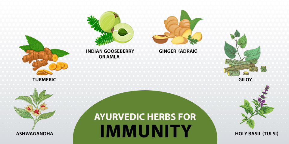 Ayurvedic_Herbs_for_Immunity
