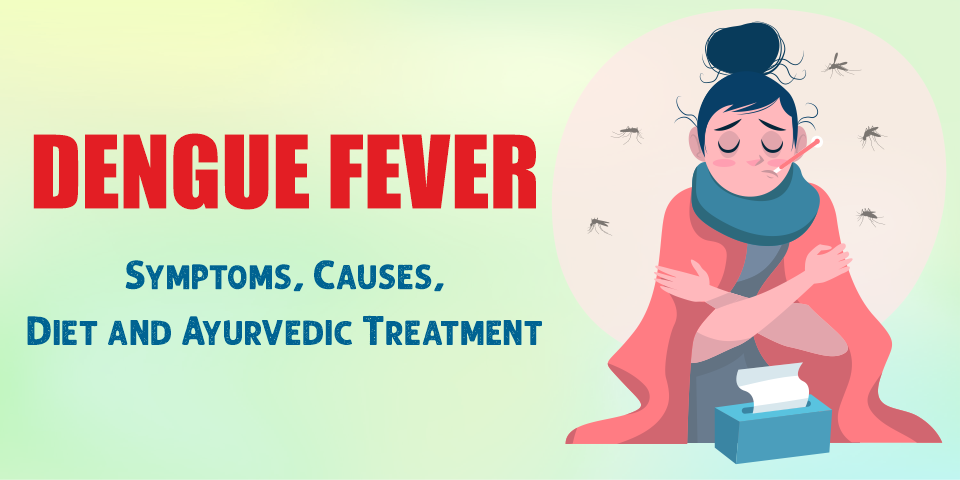 Dengue Fever Symptoms, Causes, Diet and Ayurvedic Treatment