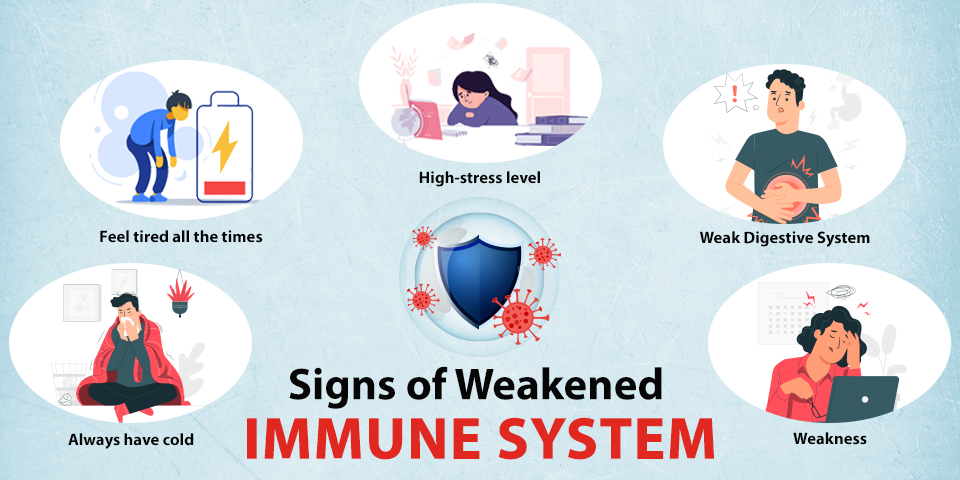 Signs of Weakened Immune System