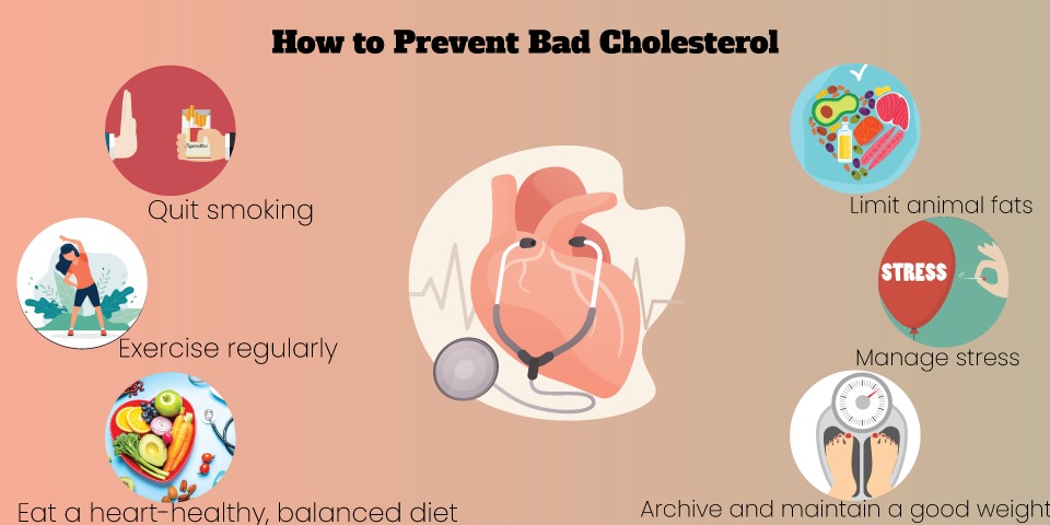 How to Prevent Bad Cholesterol