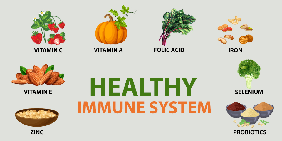 Healthy Immune System
