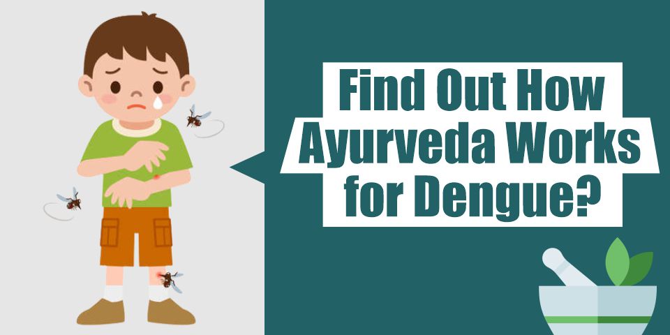 Find Out How Ayurveda Works for Dengue