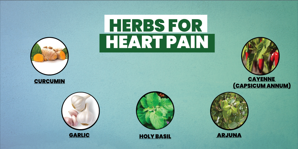 herbs for heart pain