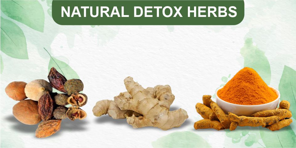 natural detox herbs