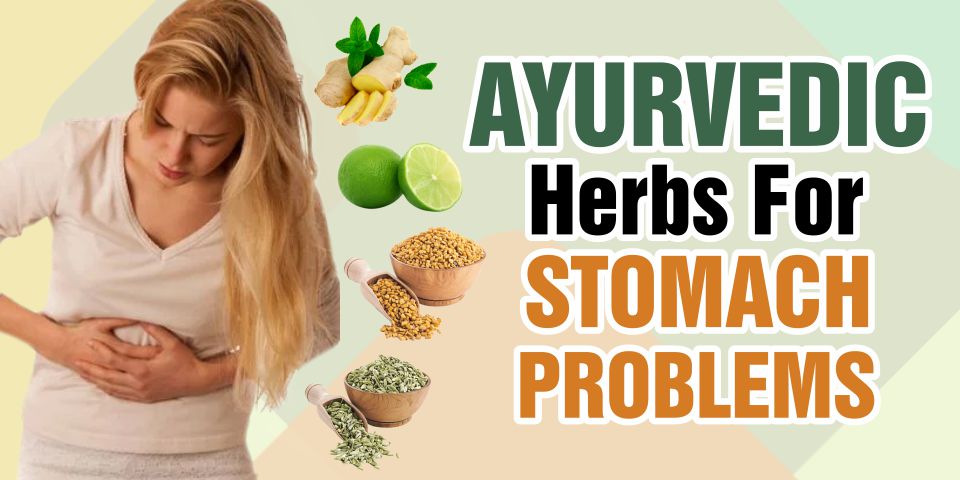 Ayurvedic Herbs For Stomach Problems