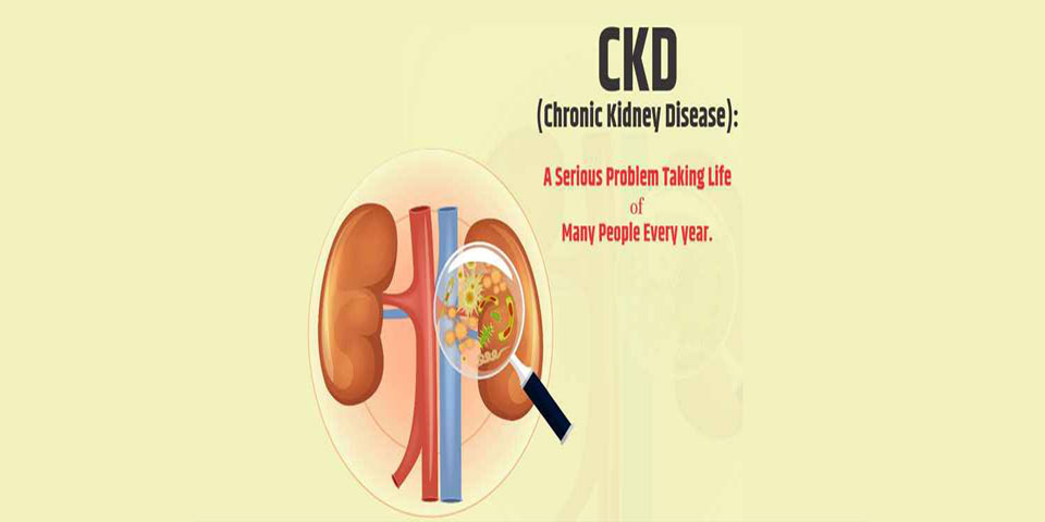 ayurvedic treatment for ckd