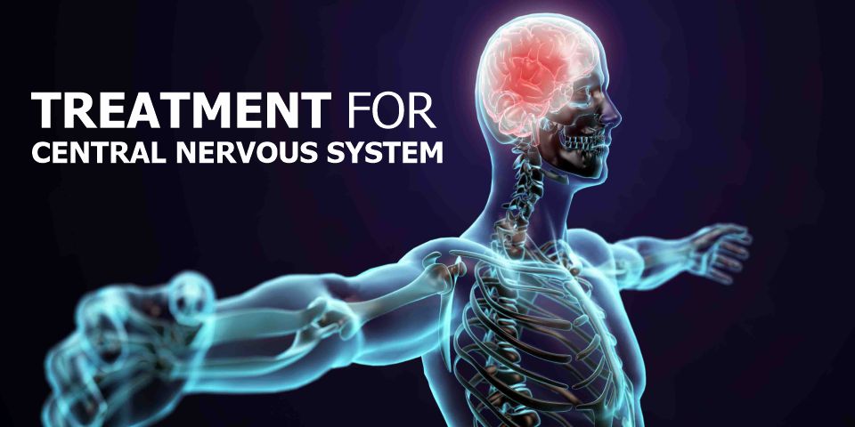 Best Ayurvedic Treatment For Nervous System