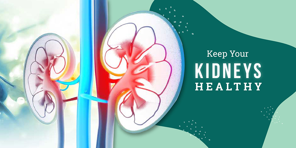 Tips To Maintain Kidney Health