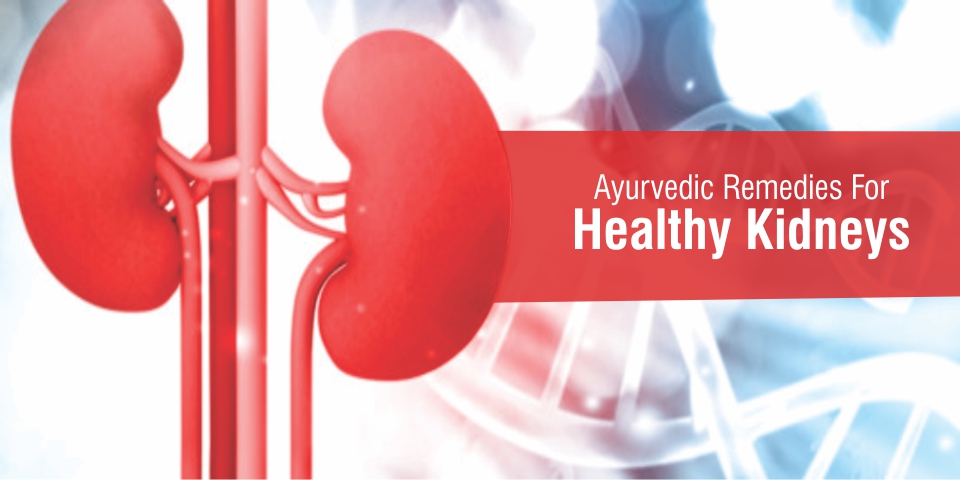 Ayurvedic Herbs For Kidney Failure Problems
