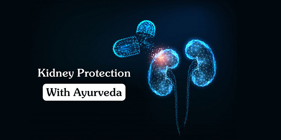 Kidney Protection With Ayurveda