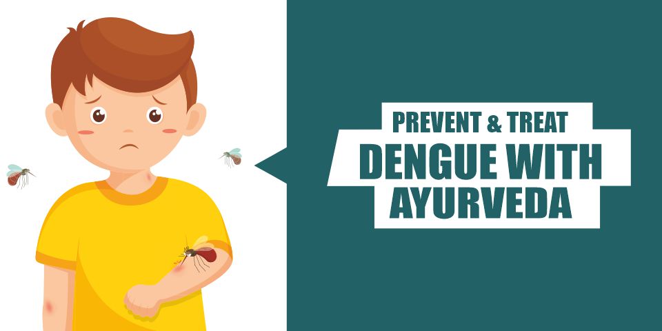 Ayurvedic Treatment For Dengue Fever