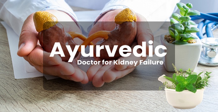 ayurvedic doctor for kidney failure