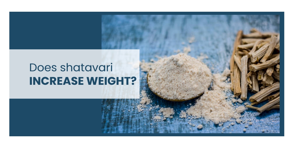 Shatavari Increase Weight
