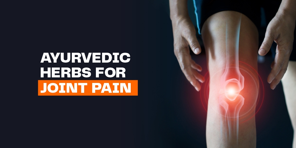 ayurvedic herbs for joint pain