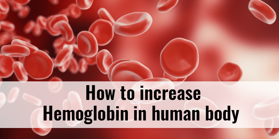 increase hemoglobin in our body