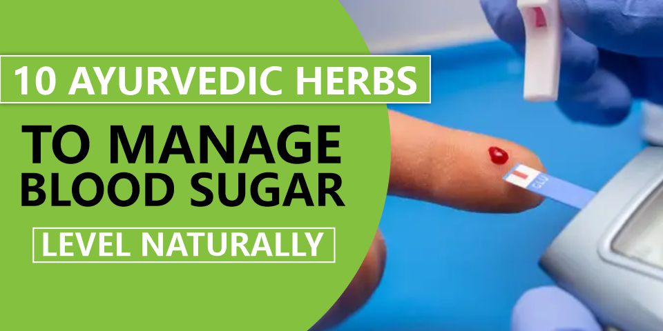 10 Ayurvedic Herbs To Manage Blood Sugar Level Naturally