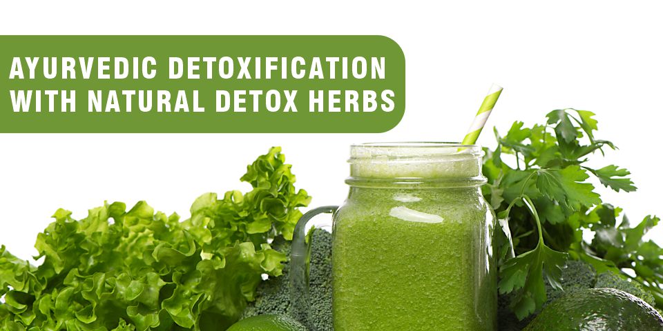 Ayurvedic Detoxification with Natural Detox Herbs