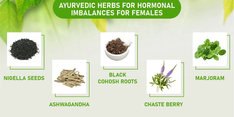 Ayurvedic Herbs for Hormonal Imbalances for Females