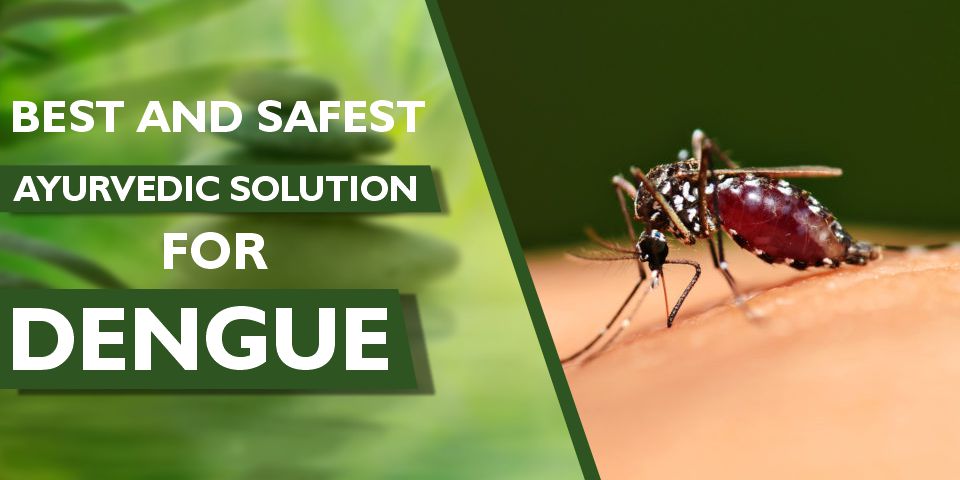 Solution for Dengue