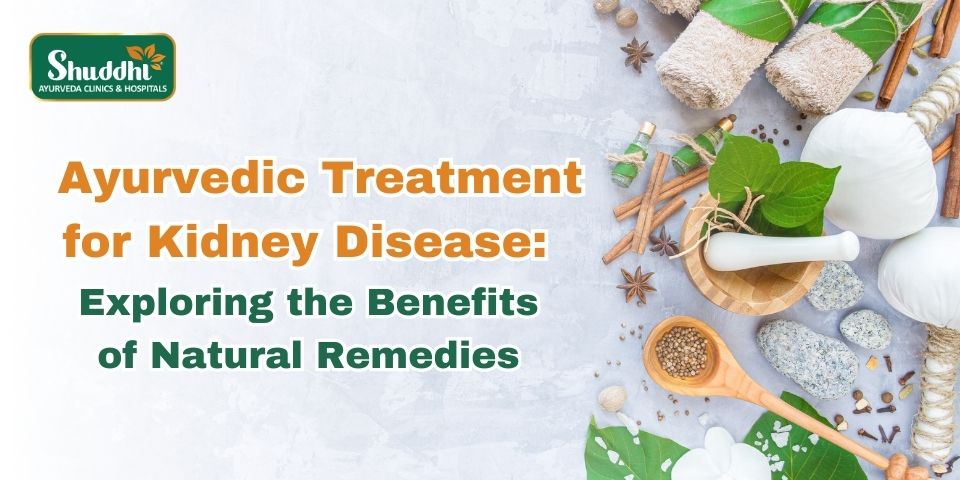 Ayurvedic Treatment for Kidney Disease: Exploring the Benefits of Natural Remedies