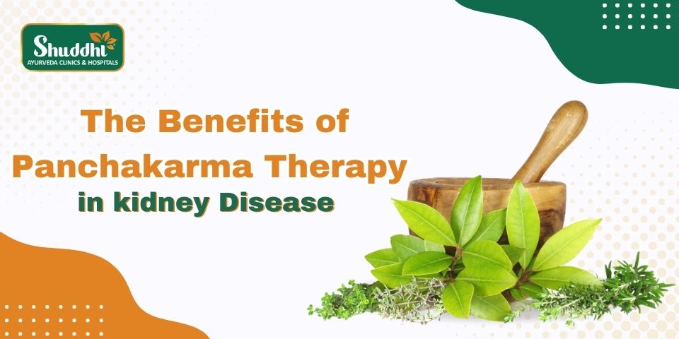 The Benefits of Panchakarma Therapy in kidney Disease