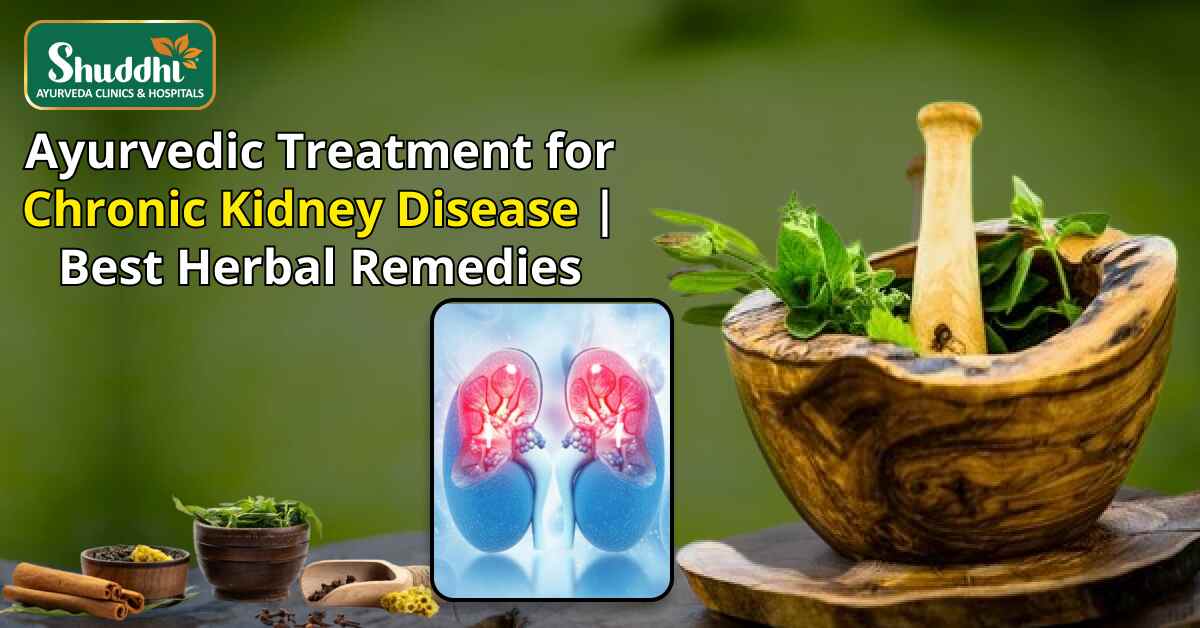 Ayurvedic Treatment for Chronic Kidney Disease