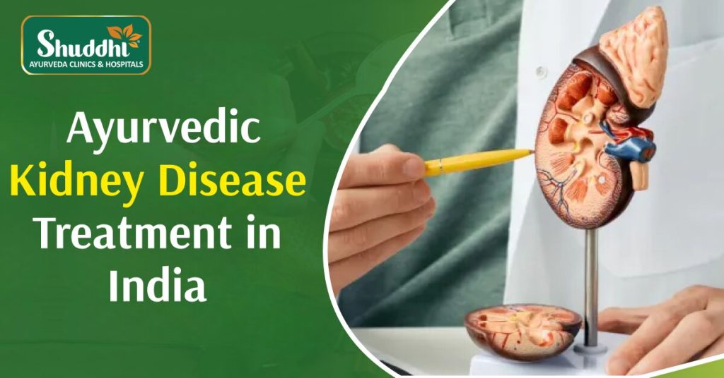 Ayurvedic Kidney Disease Treatment