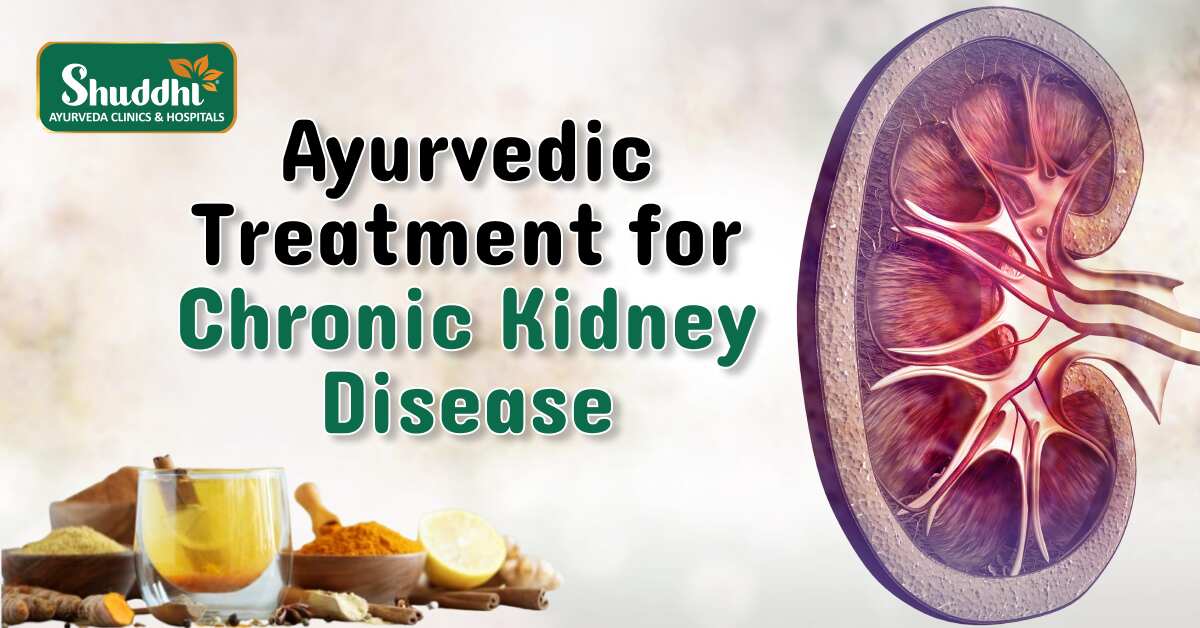 Chronic Kidney Disease Treatment