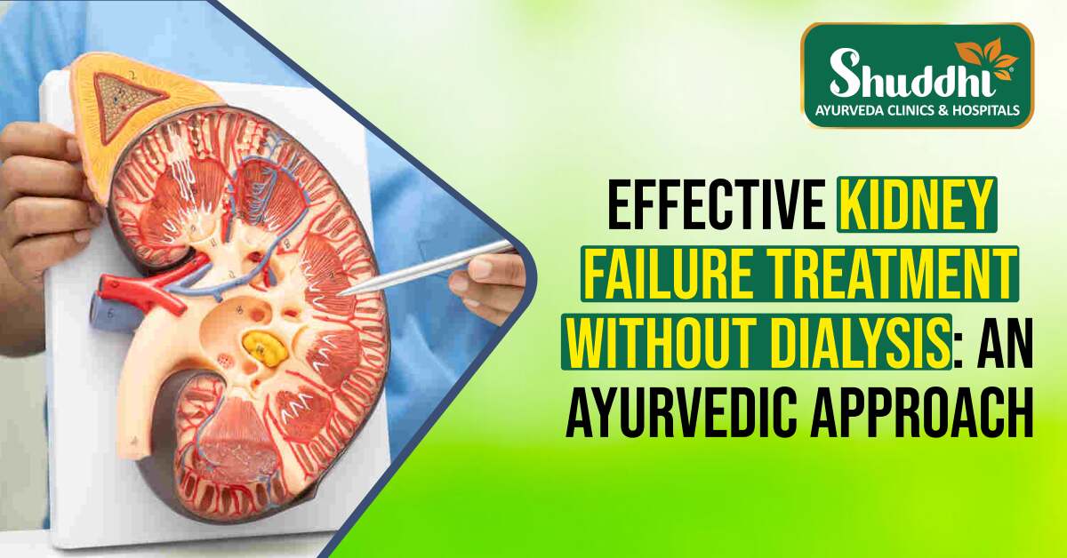 Kidney Failure Treatment Without Dialysis