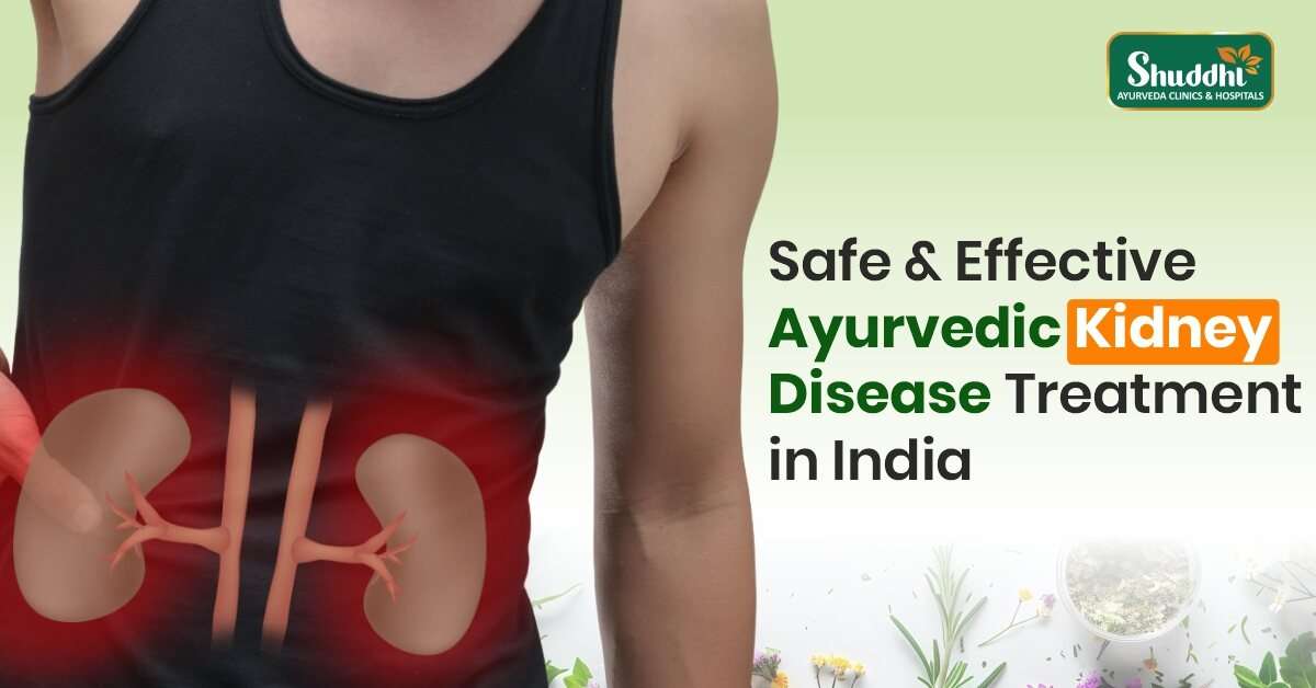 Ayurvedic Kidney Disease Treatment